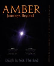 Cover von Amber - Reisen ins Jenseits
