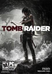 Cover von Tomb Raider (2013)