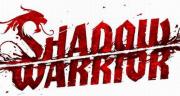 Cover von Shadow Warrior (2013)