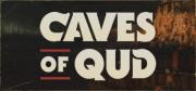 Cover von Caves of Qud
