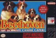 Cover von Ein Hund namens Beethoven