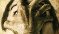 Dementium