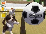 Screenshot 3 von Nintendogs