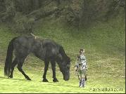 Screenshot 1 von Shadow of the Colossus